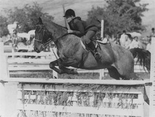 Show jumping and three day eventing on horse Blue Mesa trained by Noel Cosca